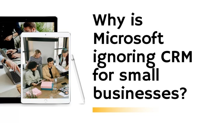 Why is Microsoft ignoring CRM for small businesses? Why is Microsoft ignoring CRM for small businesses?